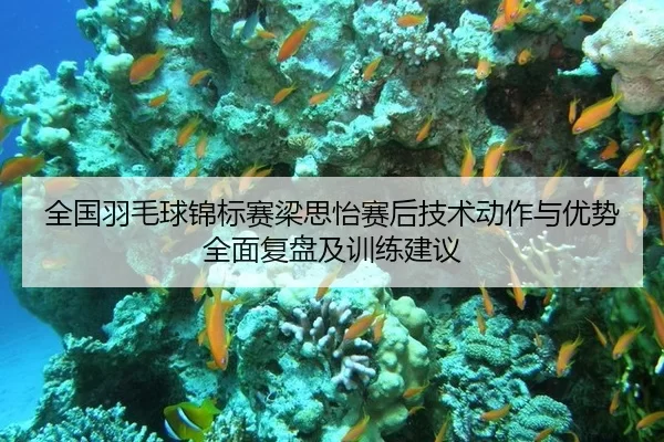 全国羽毛球锦标赛梁思怡赛后技术动作与优势全面复盘及训练建议